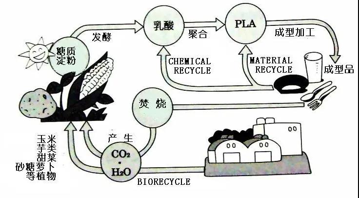 可生物降解環(huán)保塑料可以回收再利用嗎？(圖4)