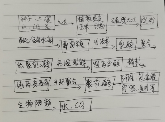 生物降解袋中的PLA是如何制得的？(圖1)