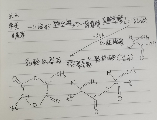 生物降解袋中的PLA是如何制得的？(圖2)